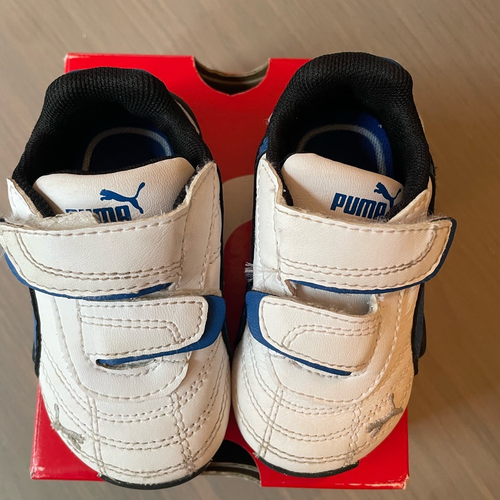 Baby Pumas